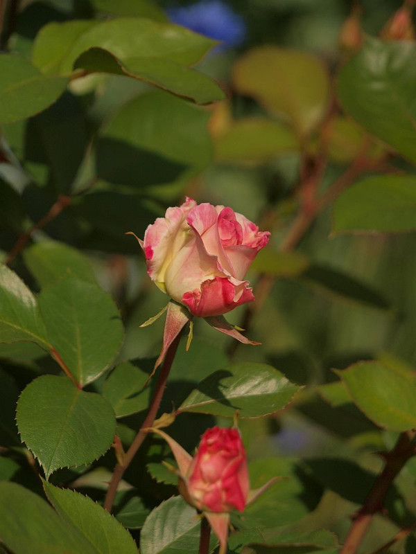 P5029033