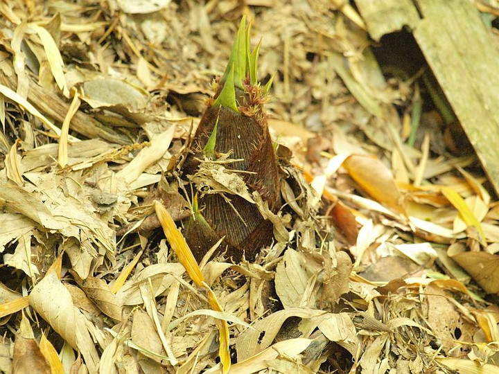 P5029053