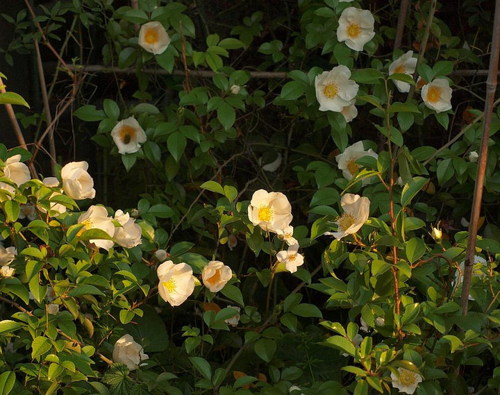 P5029079