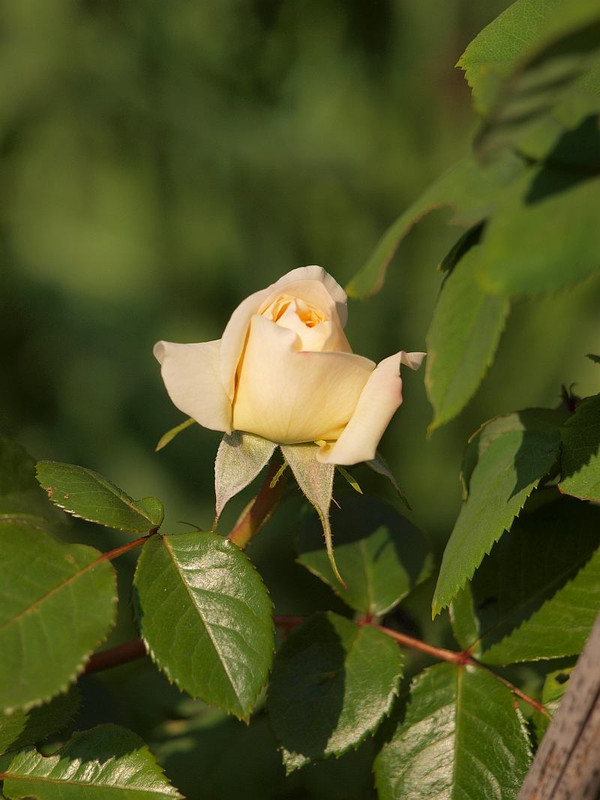 P5079996