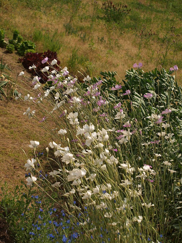 P5090192
