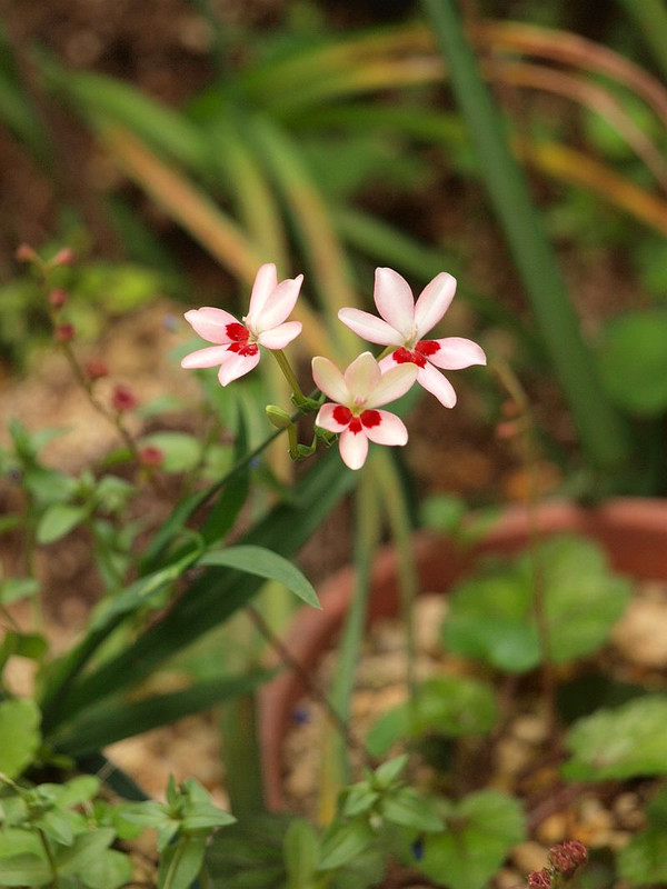 P5120903
