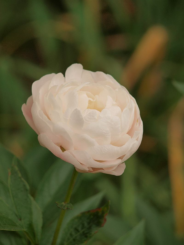 P5120950