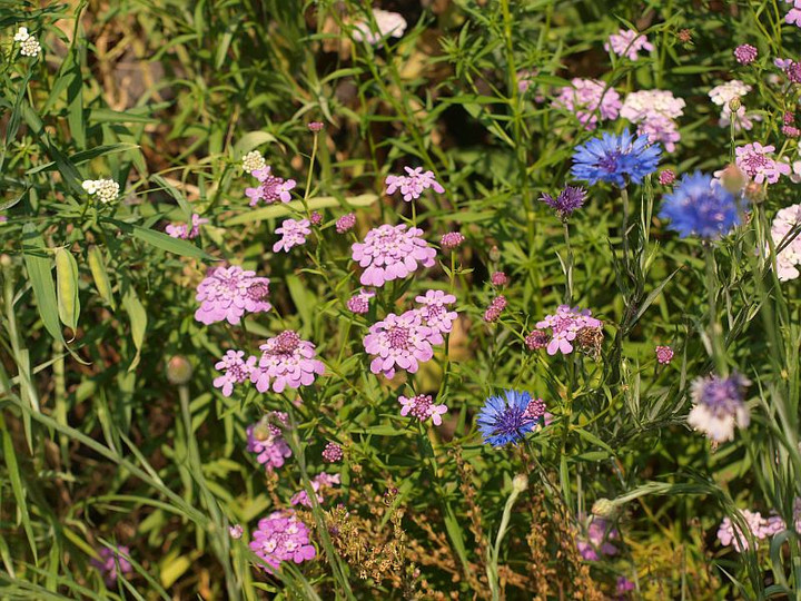 P5222430