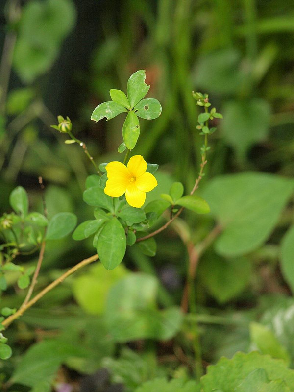 P5232456