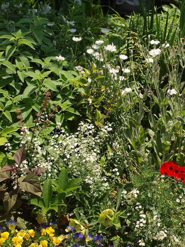 P5232472