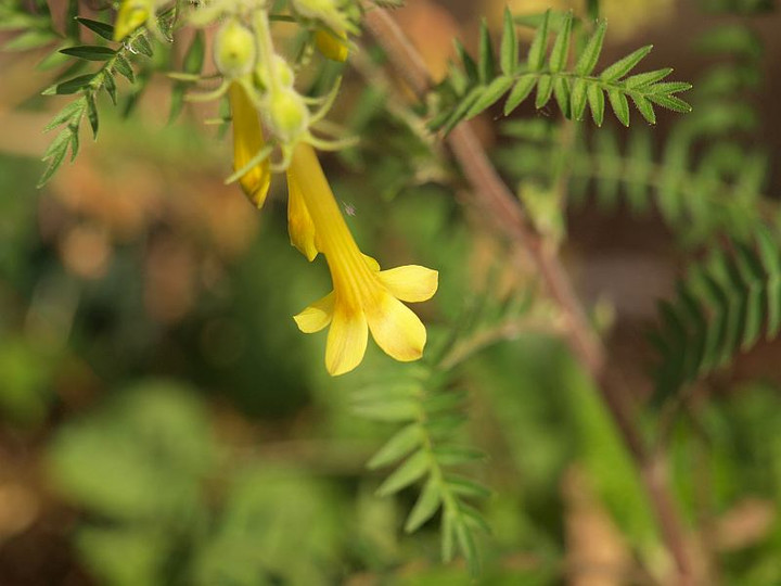 P5303345