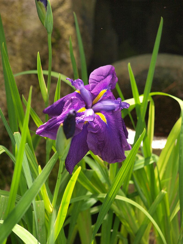 P6084039