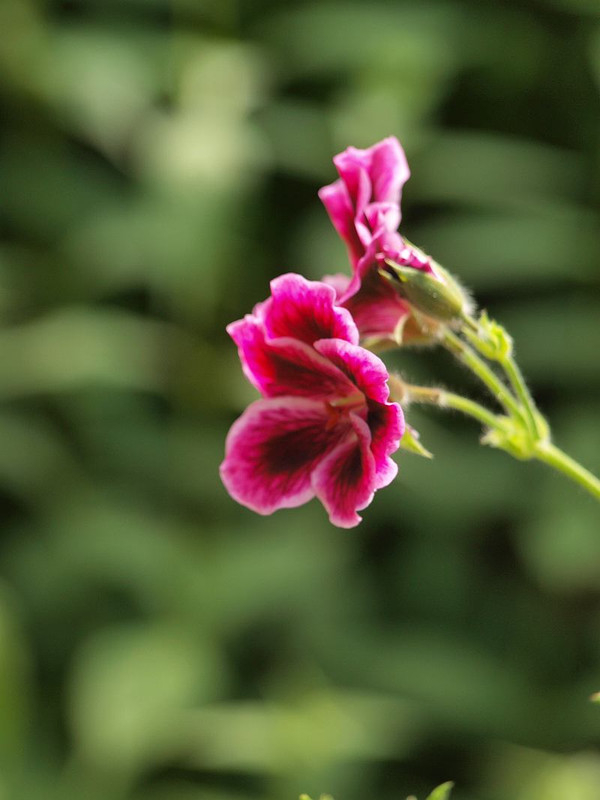 P6084047