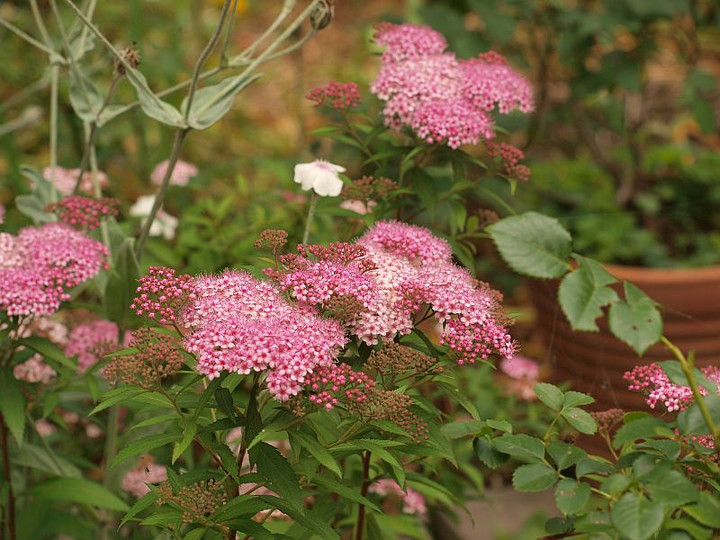 P6084056