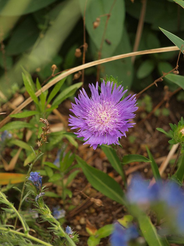P6084059