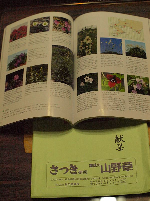 P6124326