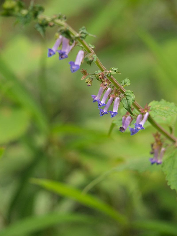 P6164637