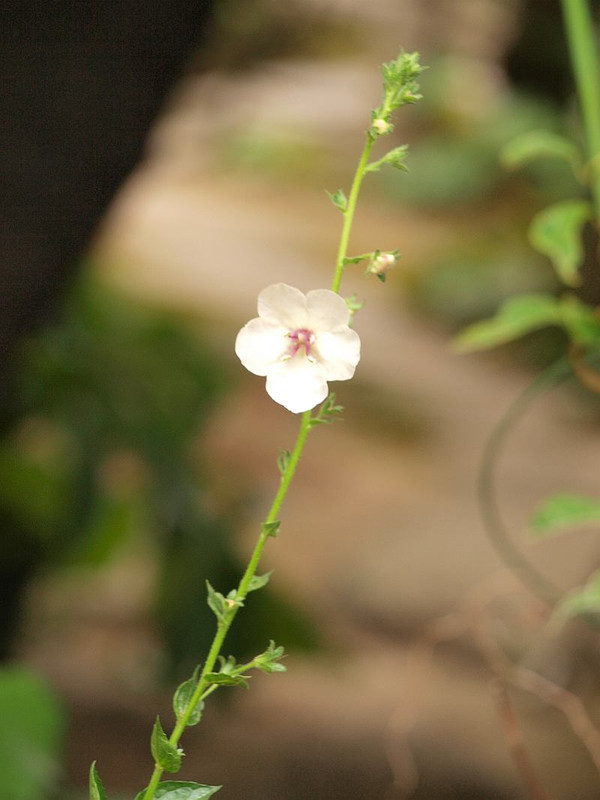 P6164644