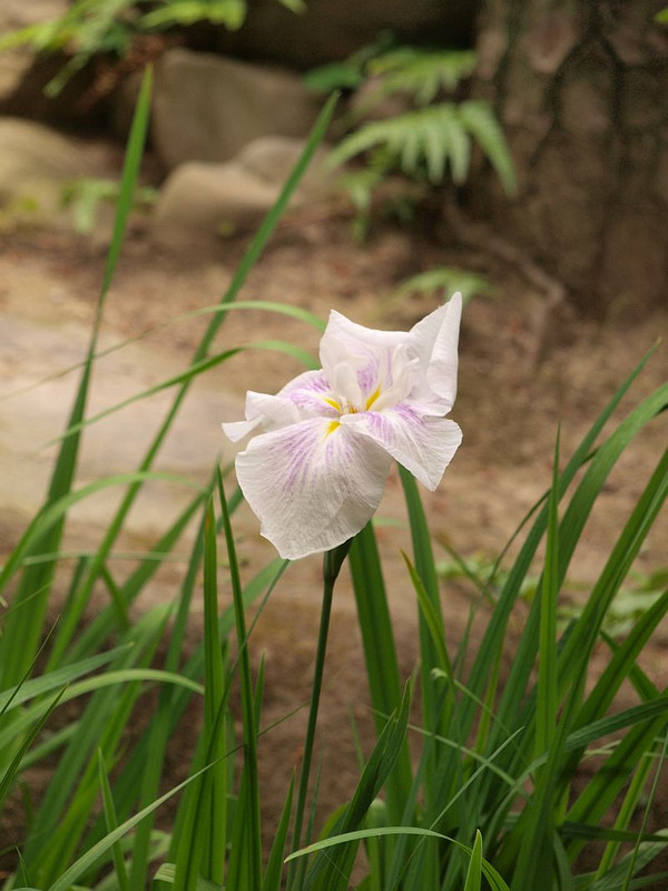 P6164666