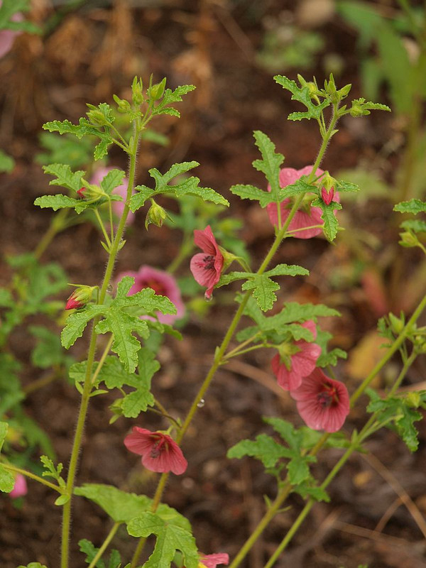 P6184712