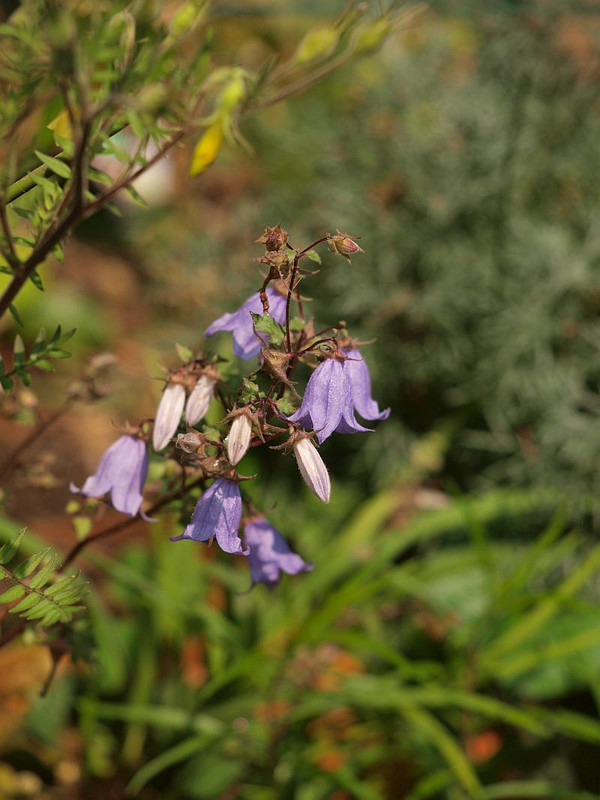 P6194720