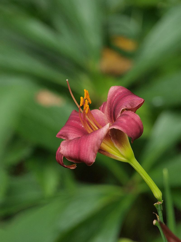 P6204743