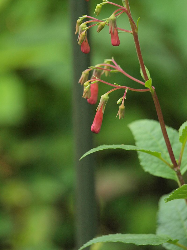 P6204744