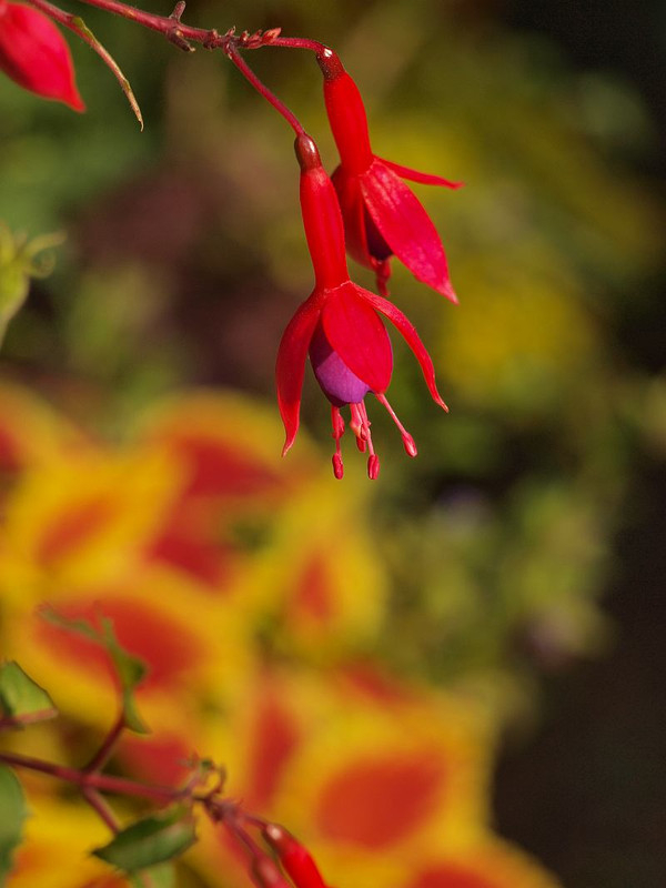 P6204751