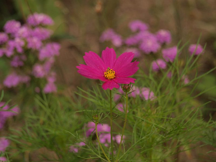 P6265300