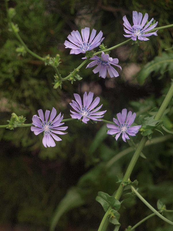 P6265307