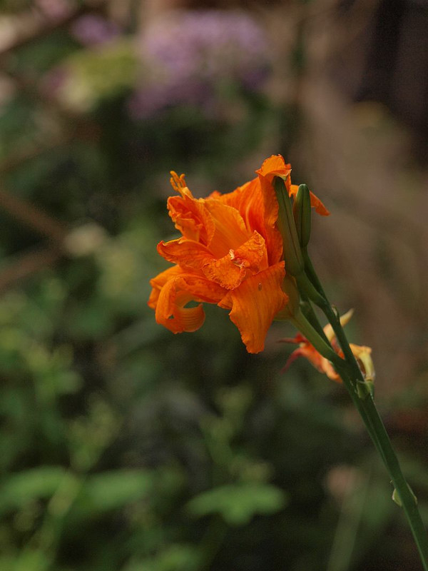 P6275332