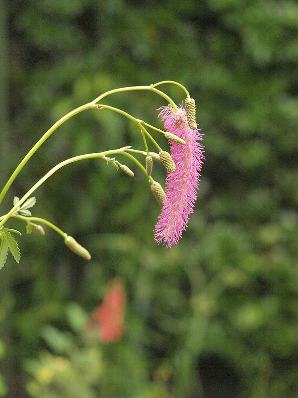 P6285355