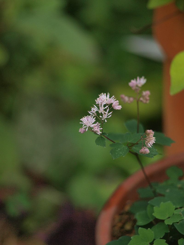 P6305708