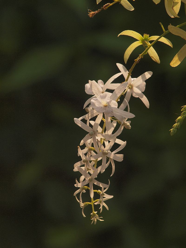 P7015721