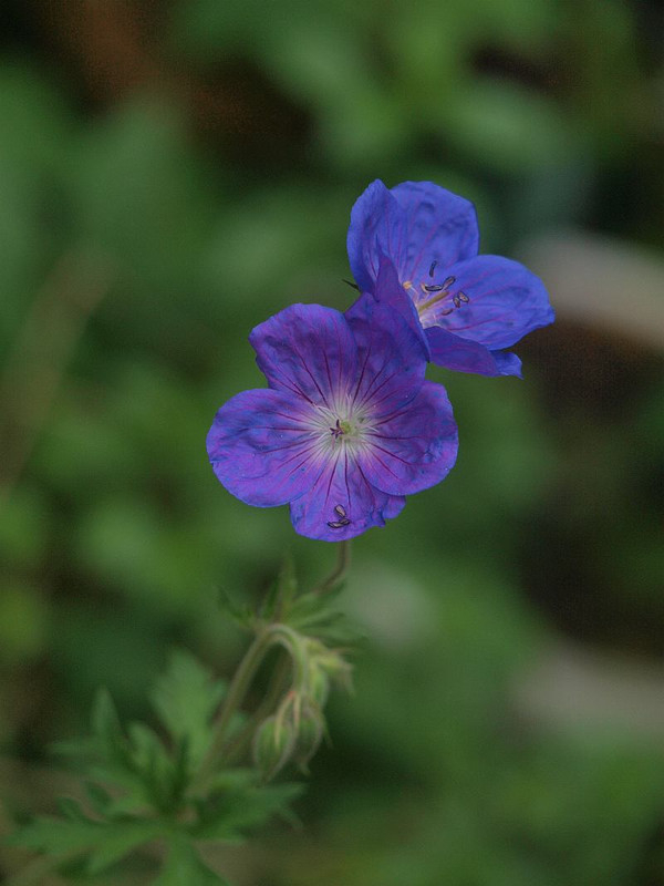 P7015722