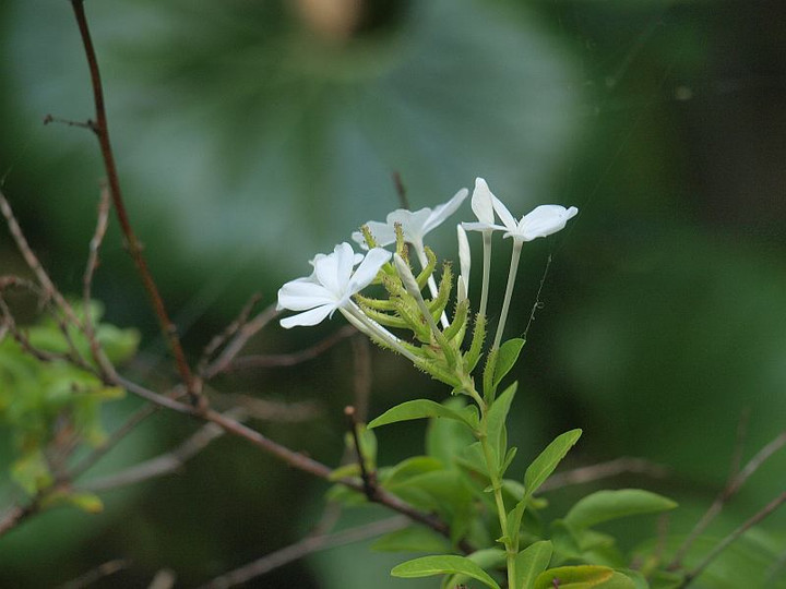 P7015730