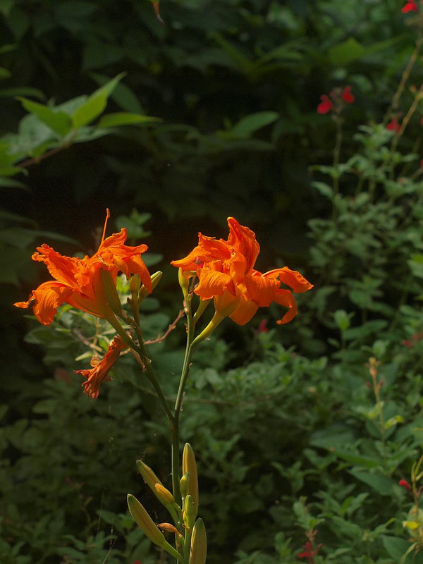 P7015735