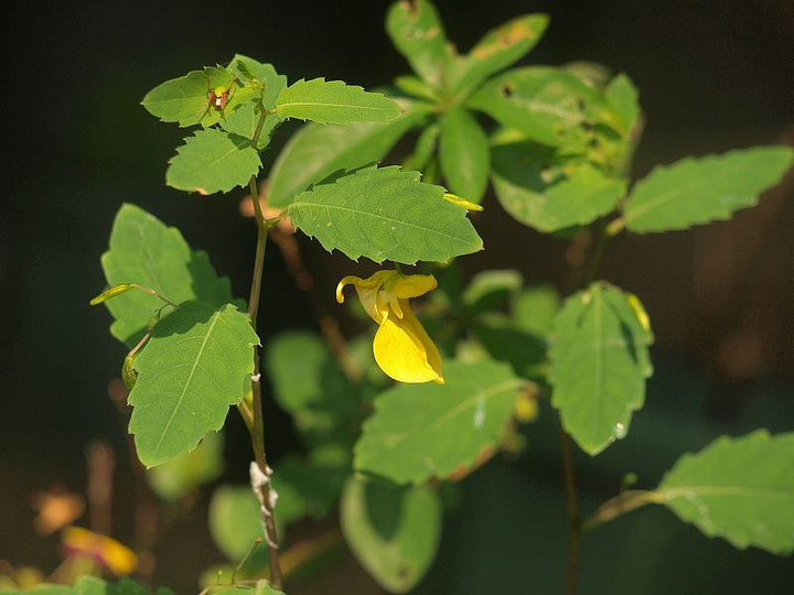 P7015743
