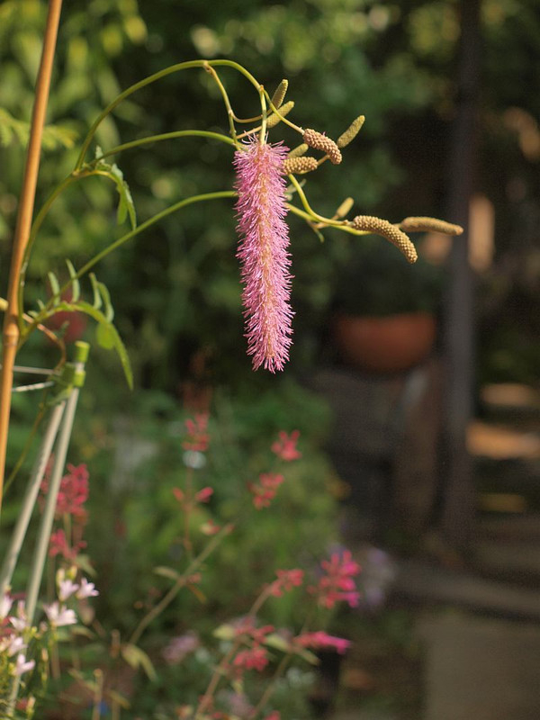 P7015744