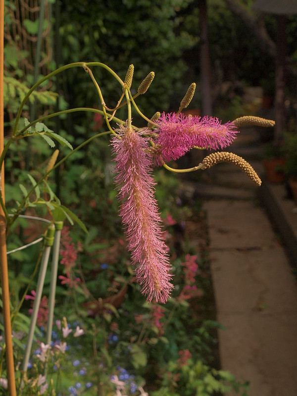 P7025750