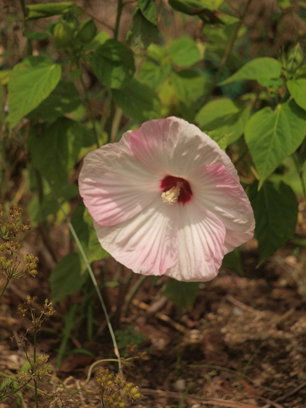 P7045776