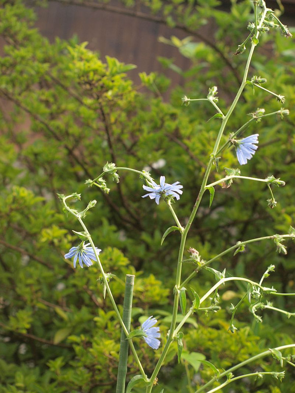 P7055795