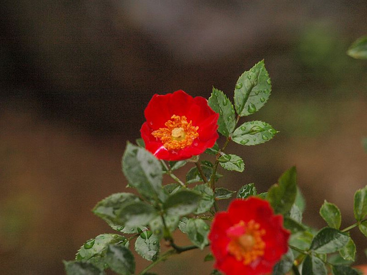 P7076090
