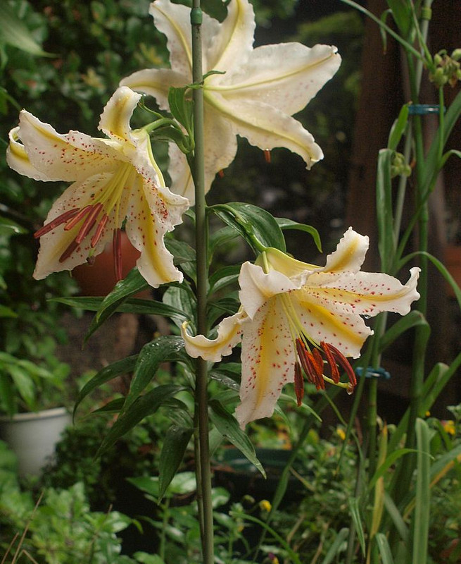 P7076103