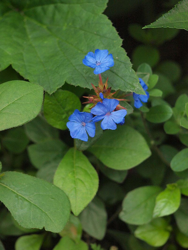 P7096146