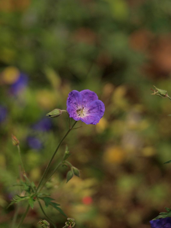 P7116151
