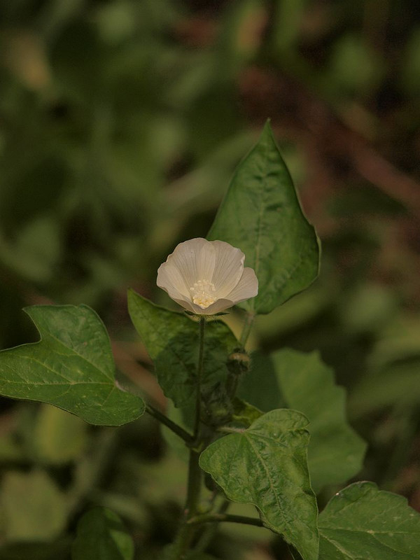 P7116158