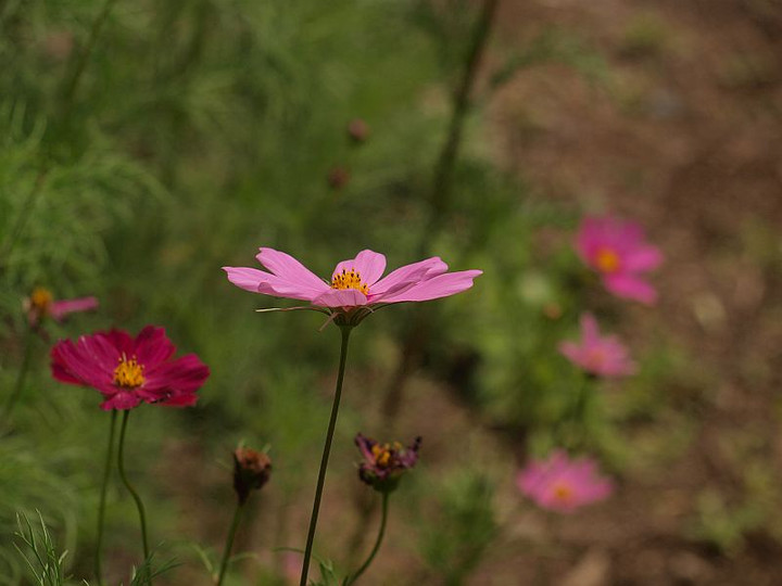 P7116166