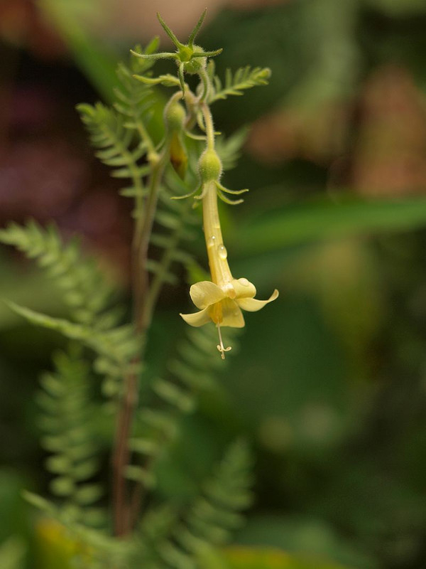 P7136398