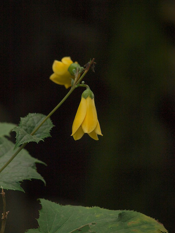 P7146433