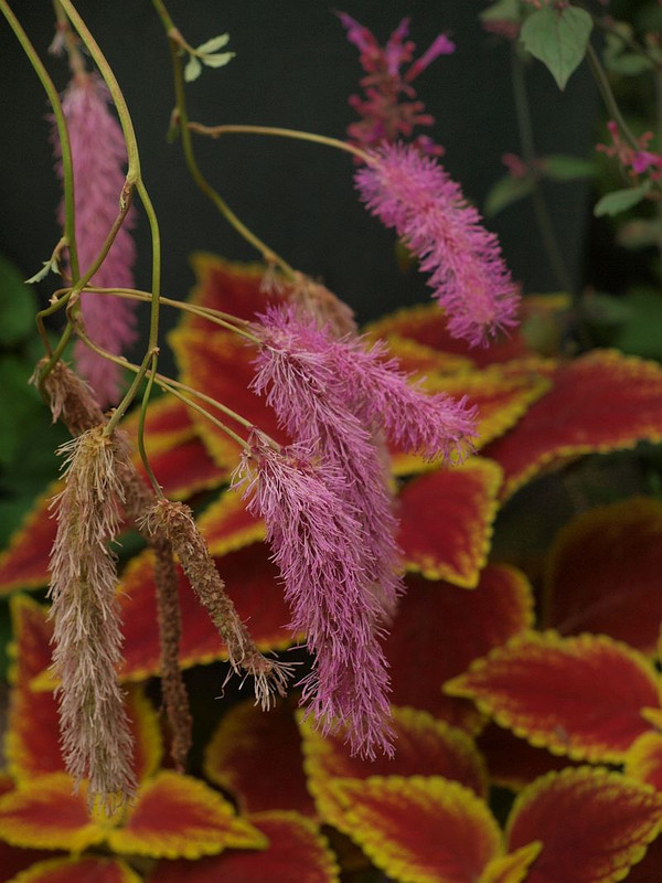 P7146437