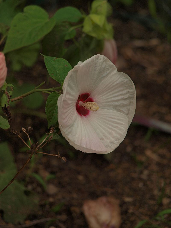 P7146440