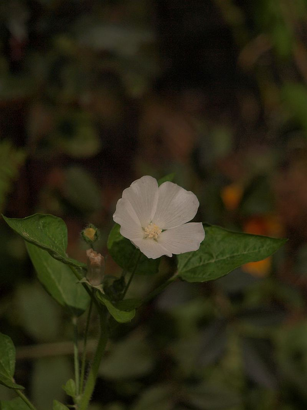 P7156467