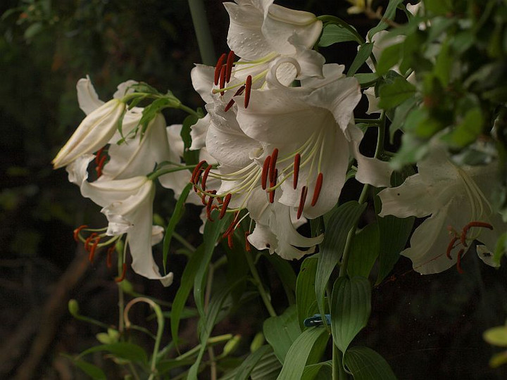 P7176492